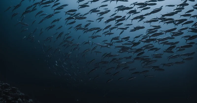 Soudage à l'arc mouillé ou soudage en caisson : ce que vous allez vraiment apprendre