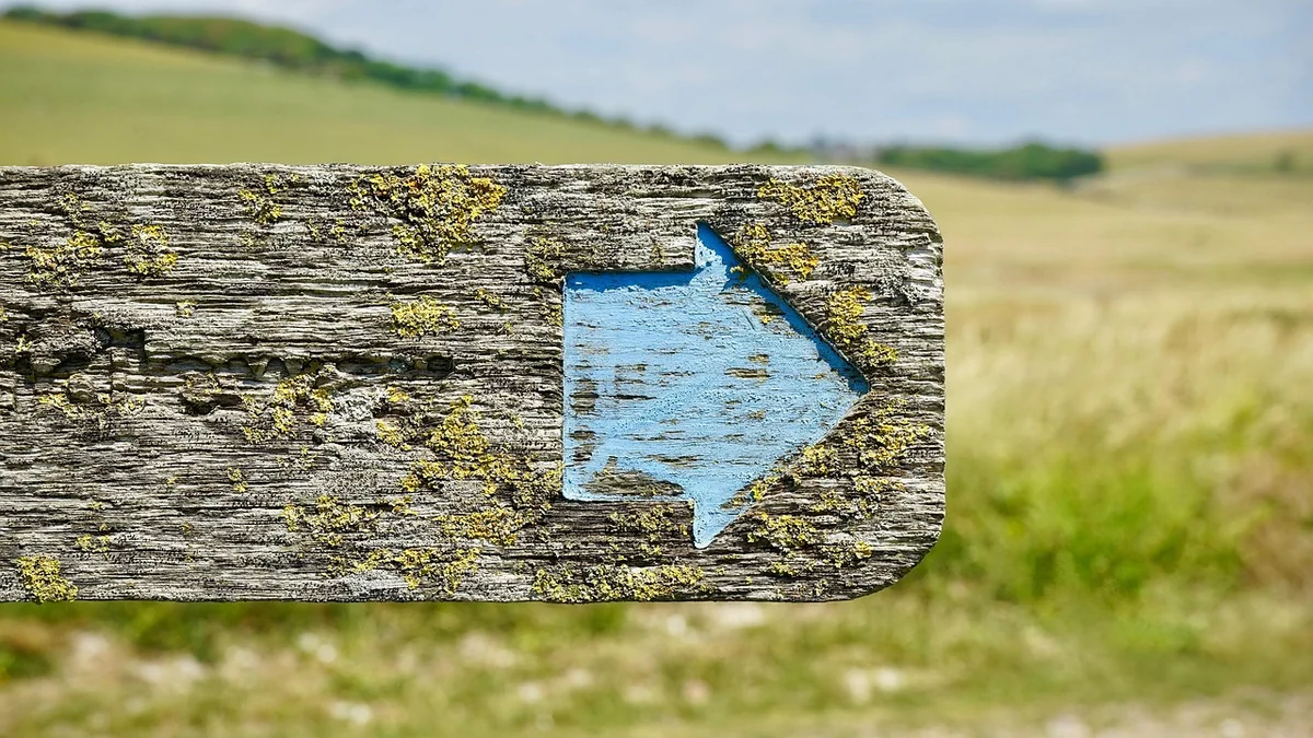 Les 5 erreurs que j'ai commises (et que vous éviterez)